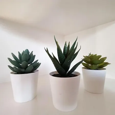 Perosi アパート パドヴァ